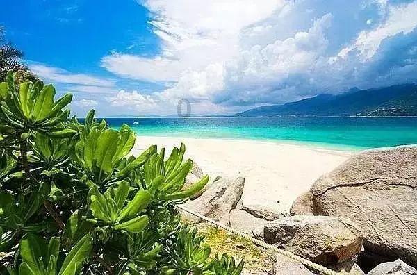 萧孚泗:火烧天王府,活捉李秀成,攻陷天京后名利双收的湘军虎将