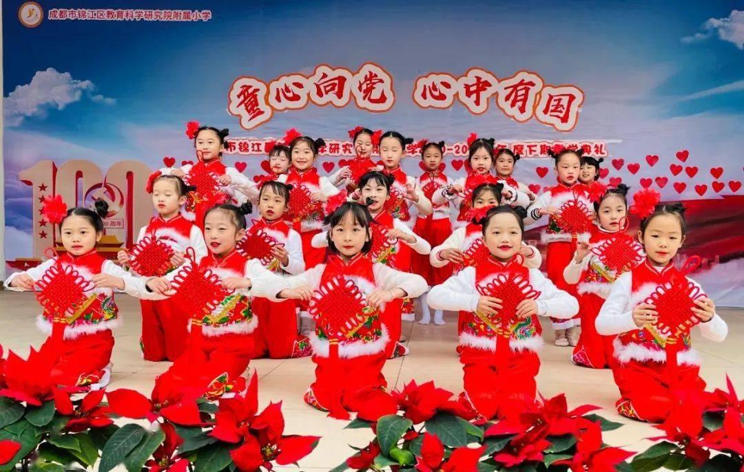 漂亮鹦鹉救援