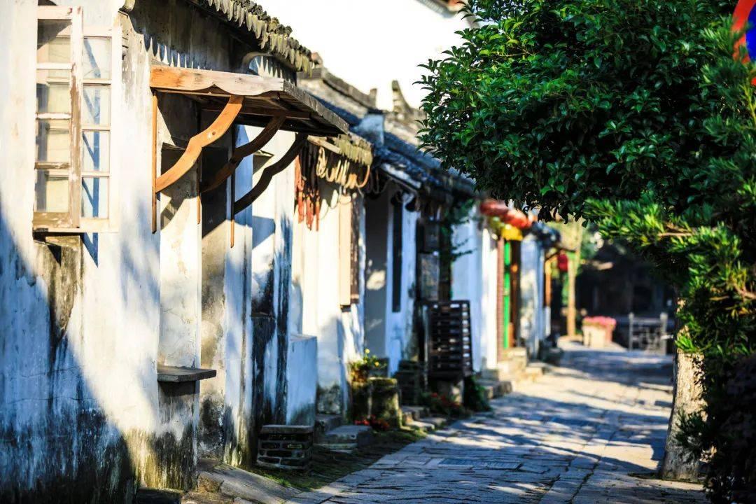 恐婚恐育的人还需要结婚吗？游戏画面